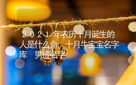 牛年出生几月最好_2021牛宝宝名字库大全,第3张